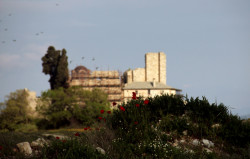 Anima_Mea 
 
2014-04-14 22:13:47