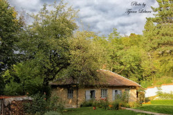 Tixy 
Манастир Пустиња, имање 
2014-04-24 18:12:17