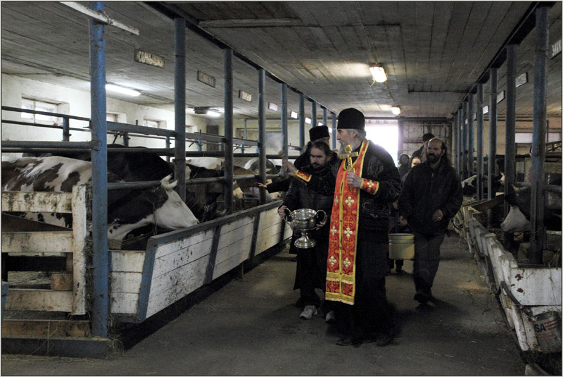 День Георгия Победоносца