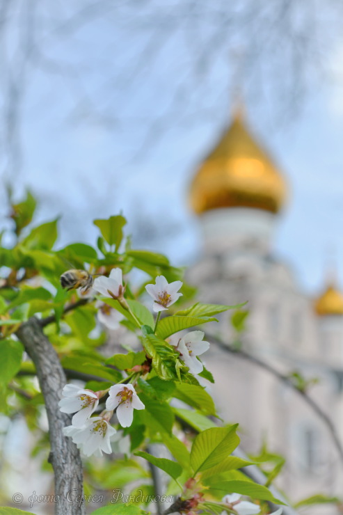 Свято-Владимирский храм