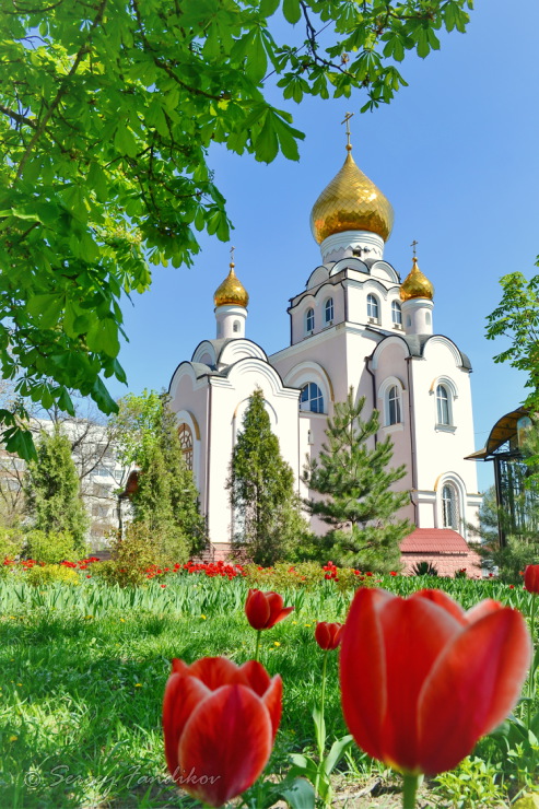 Свято-Владимирский храм