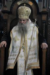 AleksaSrbin 
Владика 
72 
2014-05-07 22:38:12