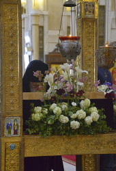 Andreas.Ch 
Catholicos-Patriarch of All Georgia, His Holiness and Beatitude Ilia II 
2014-05-08 07:45:56