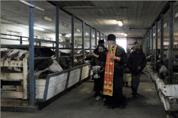 tolmargarita 
День Георгия Победоносца 
2014-05-08 15:03:15