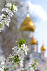 Sergey_Fandikov 
Свято-Владимирский храм 
2014-05-12 15:14:54