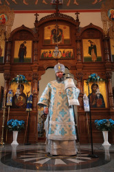 jarek 
Bishop Vladimir of Vladimir Volunskij  
2014-05-14 21:38:54