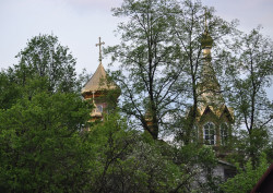 bogdan 
Michałowo 
2014-05-16 11:53:06