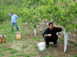 Nikolaj_BG 
Athos - Agion Oros (7) 
2014-05-18 12:14:20