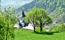 ursache 
Mănăstirea Pângărați 
2014-06-02 14:44:53
