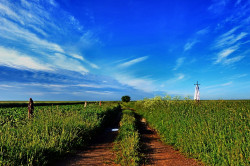 Adam Falkowski 
 
2014-06-04 17:25:04