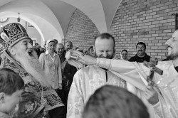 palavos 
Paschalna radość 
2014-06-20 21:31:56