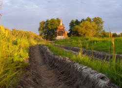 lato 
Jabłeczna 
2014-06-25 14:11:31