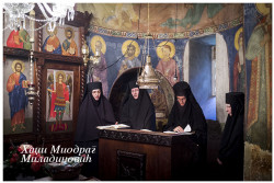 hmiodrag 
За певницом 
2014-07-06 21:38:59