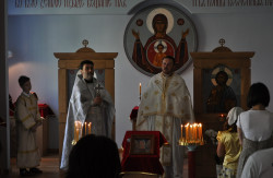 bogdan 
święto ku czci świętych równych Apostołom Cyryla i Metodego (10)  
2014-07-11 21:29:03