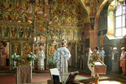 maksim 
Многољетствије 
2014-07-15 14:11:42