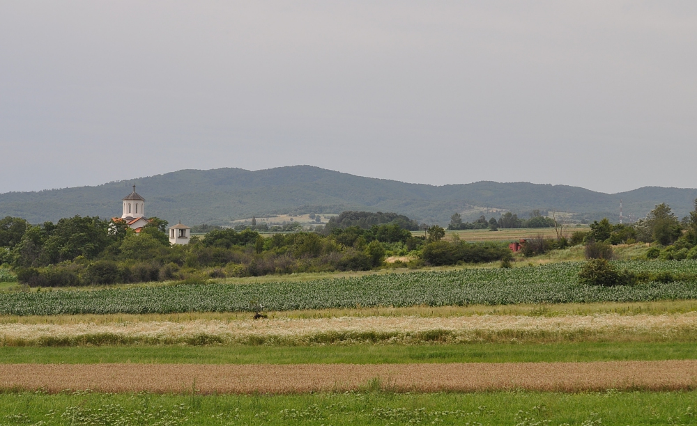 somewhere in Serbia (3)