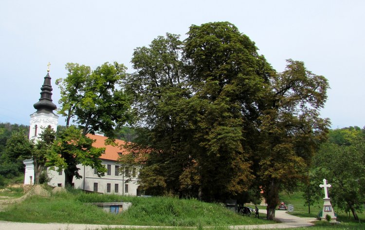 Kuveždin