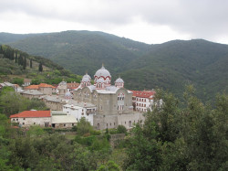 maksim 
Света Гора 19 
84 
2014-08-02 12:28:08