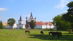 Arkadiusz 
Monaster Zwiastowania Najświętszej Marii Panny w Supraślu 
2014-08-20 14:52:27