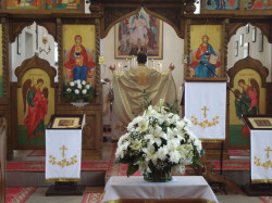 nikodim 
Ikonostas Uspenského chrámu v Nižnej Rybnici 
2014-08-28 10:18:42