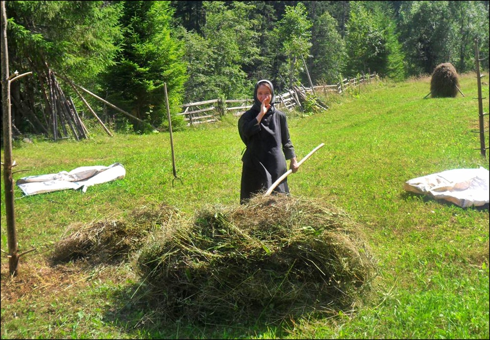 La ascultare