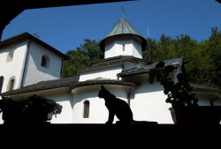 nikoinishta 
Храм Св. Архангела Михаила и Гаврила, манастир Вољавча 
2014-09-01 16:43:06