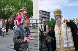 AleksaSrbin 
Радост празника 2 
63 
2014-09-03 10:08:47
