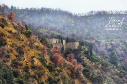 Tixy 
Света Гора 
2014-09-03 22:27:33