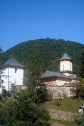 Diandra 
Topolnita Hermitage 
2014-09-05 15:38:17