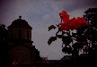 gorankul 
 
2014-09-09 22:50:44