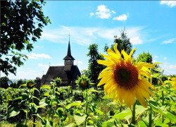 ursache 
Mănăstirea Știubieni 
2014-09-24 13:48:34