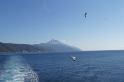 darius 
Athos 
2014-09-26 08:37:42