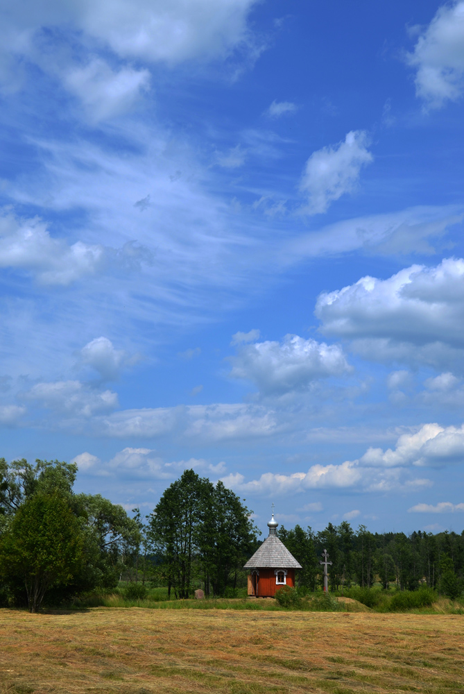 Białowieża.6.