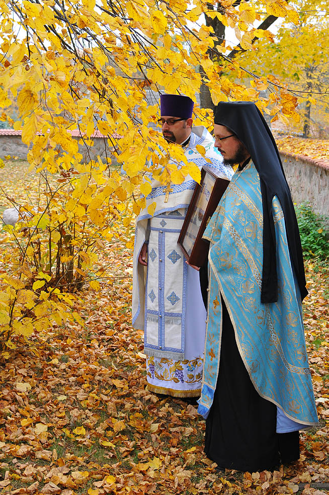Puchły / Pokrow
