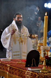AleksaSrbin 
владика Арсеније 
69 
2014-10-01 07:21:41