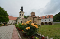 maksim 
Манастир Св. Јована - Месић 
2014-10-16 22:38:53