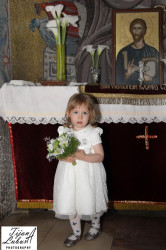 TijanaZemun 
Девојчица 
2014-10-19 19:06:13