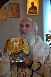 Hilandarac 
Патријарх српски Иринеј 
2014-11-05 20:46:04