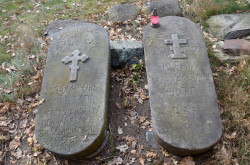 Pit_Zsak_ 
Trześcianka.2. 
2014-11-19 15:42:22