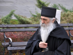 Hilandarac 
Владика 
2014-11-20 16:00:21