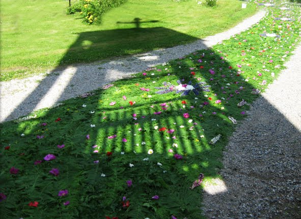 Flower carpet  in Lintula convent