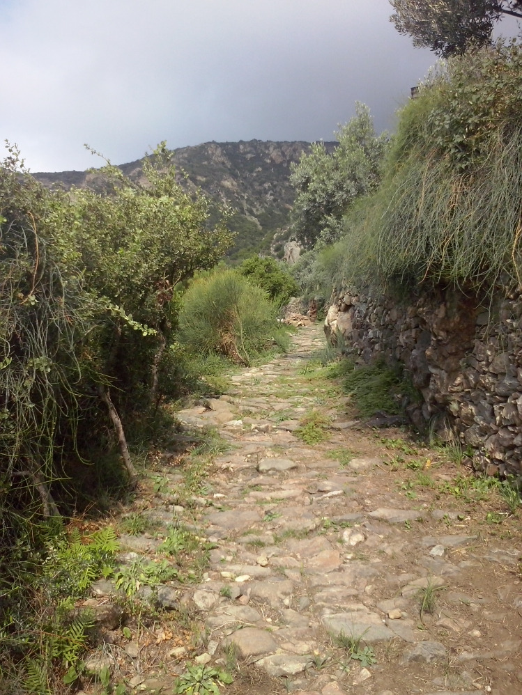 the way to Simonopetra Monastery