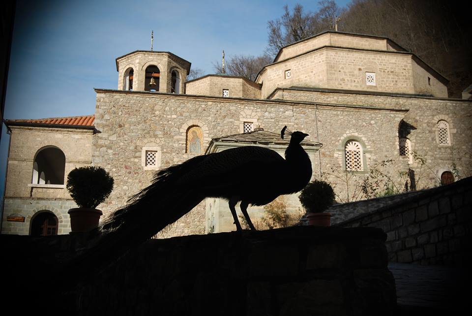 Monastery "St. John the Baptist - Bigorski" - Macedonia.