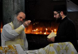 AleksaSrbin 
Владика 
2014-12-01 07:02:28