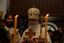 sapuric 
АМФИЛОХИЈЕ 
2014-12-07 16:14:47