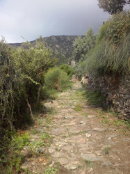 AM 
the way to Simonopetra Monastery 
2014-12-08 08:39:44