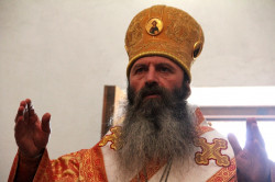jarek 
Metropolitan Hilarion of Mestia 
2014-12-12 21:50:46