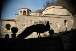 crkva 
Monastery "St. John the Baptist - Bigorski" - Macedonia. 
2014-12-30 22:49:07