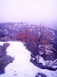 DanicaM 
Поглед на Цркву Св.Теодор 
2015-01-01 22:04:24