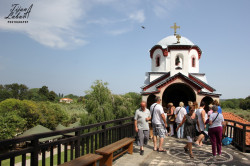 TijanaZemun 
Посета Метоху Хиландара 
2015-01-20 13:02:04